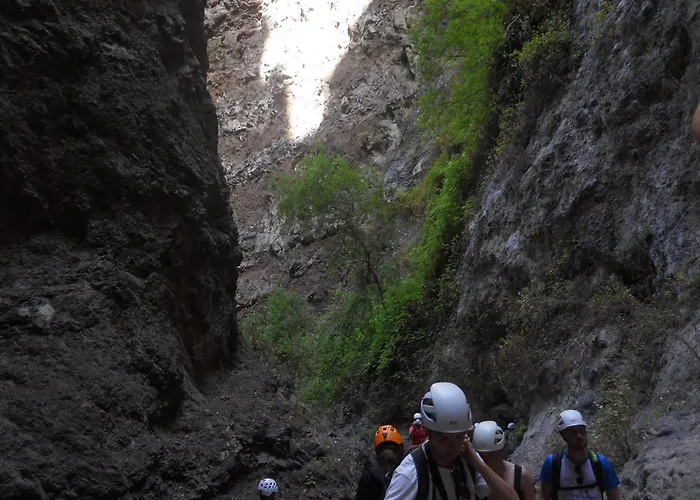 La Casita 호스텔 아데제